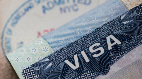 best primary schools Sydney 2025, top Sydney primary schools, Sydney public schools rankings, affordable private schools Sydney, NAPLAN results Sydney schools